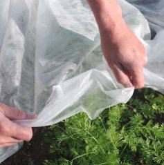 Bílá agrotextilie 1,6 x 5 m - ochranná netkaná textilie pro rostliny