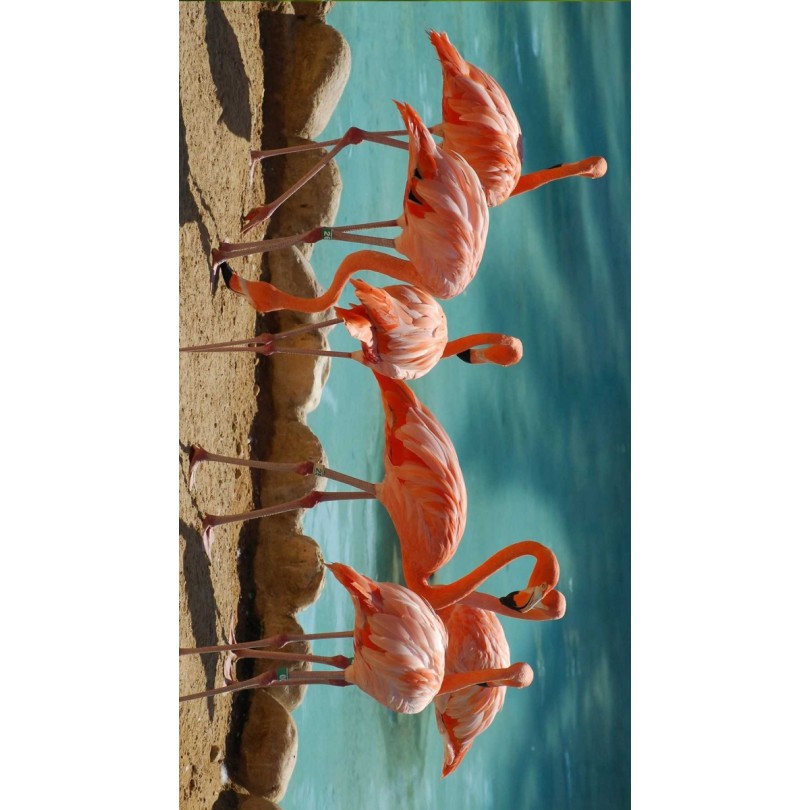 Strandtörölköző flamingó a parton motívummal 100 x 180 cm