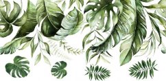 Wandaufkleber für Innenräume mit dem Motiv der Blätter der Monstera-Pflanze