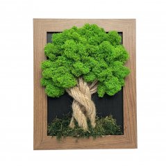 Schöner Moosbaum - dunkelbrauner Rahmen 19 x 24 cm