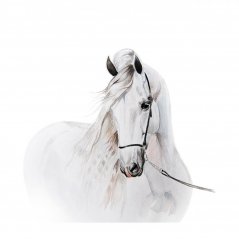 Úžasná nálepka na zeď sněhovo bílý kůň