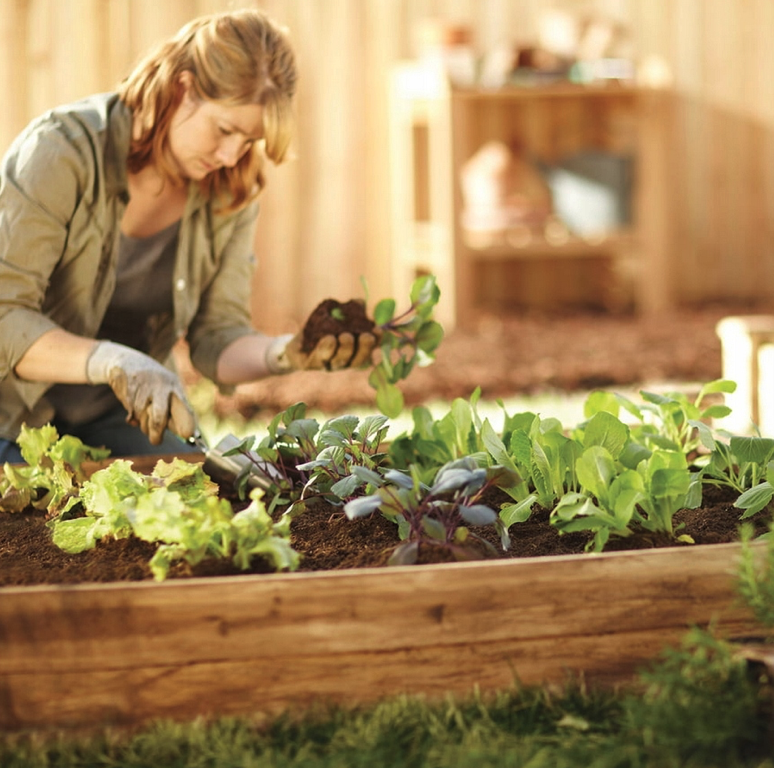 Повдигнато импрегнирано легло 240 x 120 x 27 cm