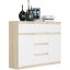 Dizajnová komoda S-62D s čistými líniami - rôzne farebné prevedenia