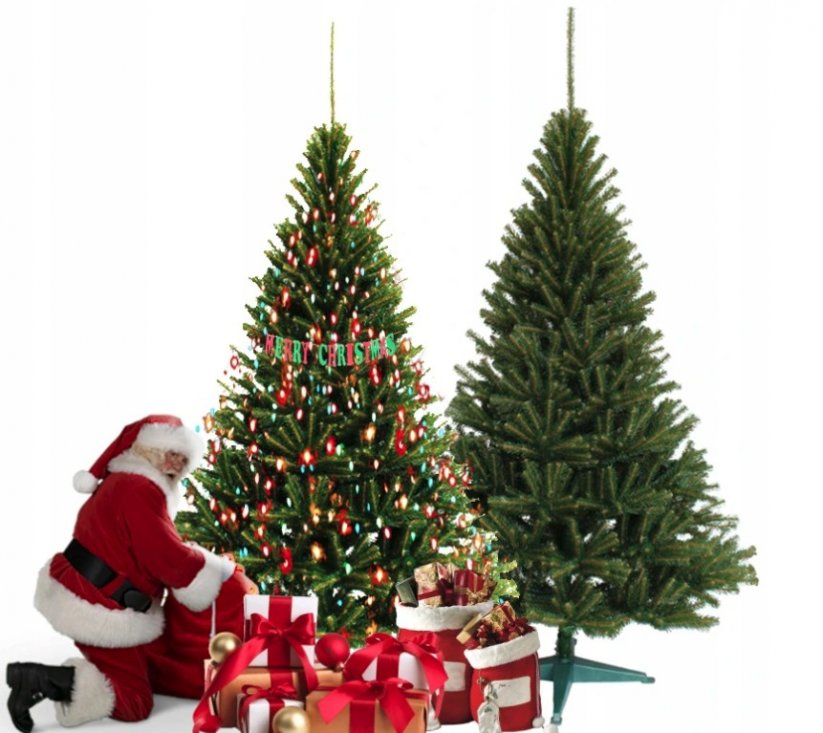 Unikatna zelena smreka Božično drevo 220 cm