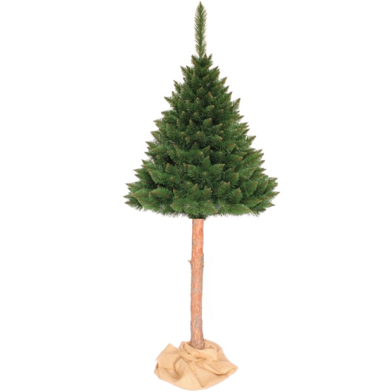 Exkluzívna vianočná borovica na pni 190 cm