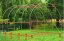 Záhradný fóliovník 2,5 x 4 m + DARČEK ZDARMA