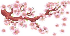 Adesivo murale per interni ramo fiorito con fiori rosa