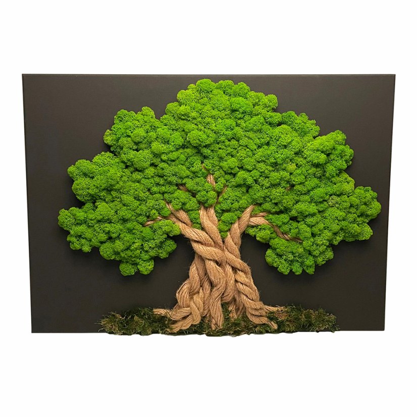 Mahovo drevo 60 x 90 cm