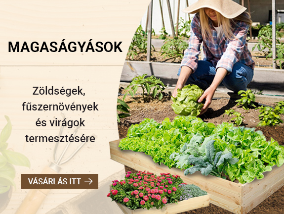 Magaságyások