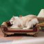 Tiragraffi di lusso per gatti a forma di divano