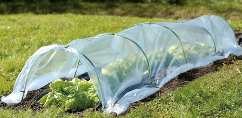 Kiskerti polytunnel 6 x 0,5 m 