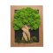 Красиво дърво с мъх - тъмнокафява рамка 19 x 24 cm