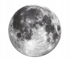 Okrasna stenska nalepka - luna 71 cm