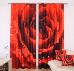 Roter Vorhang - Rose