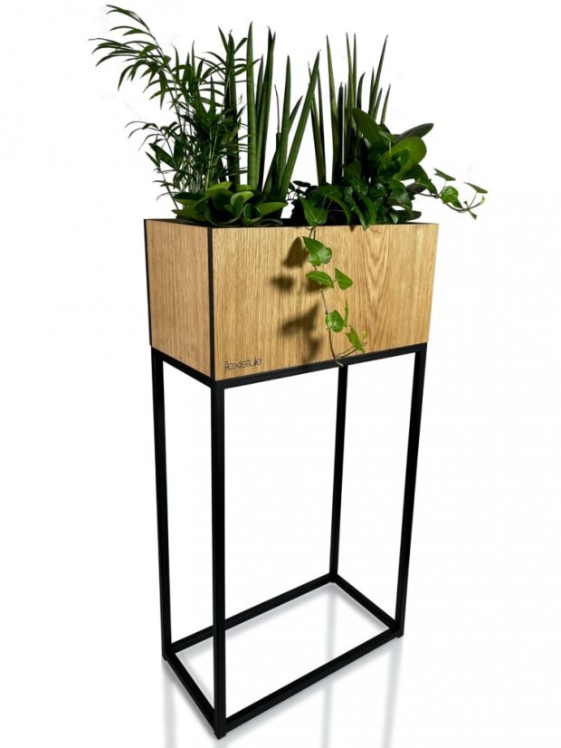 Ghiveci înalt decorativ din stejar natural neted LOFT FIORINO 42X22X80 cm