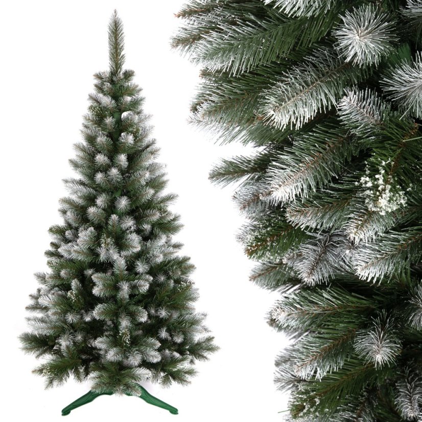 Vianočný stromček borovica 180 cm