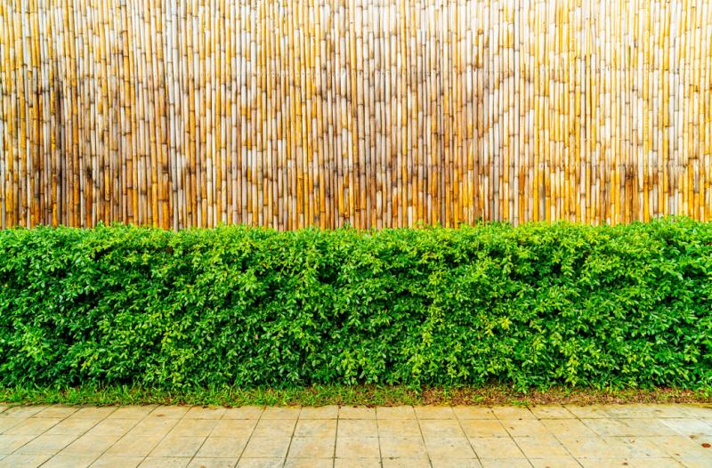 Bambusový plot 200 cm x 500 cm