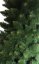 Exkluzivní hustá vánoční borovice himálajská 150 cm