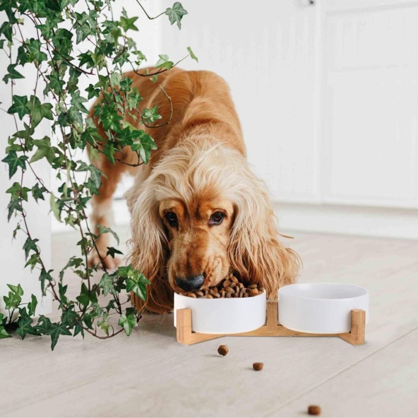 Állati tál vízhez és eledelhez - fehér