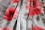 Šedá teplá deka s potiskem červených květů - Rozměr: Šířka: 160 cm | Délka: 210 cm