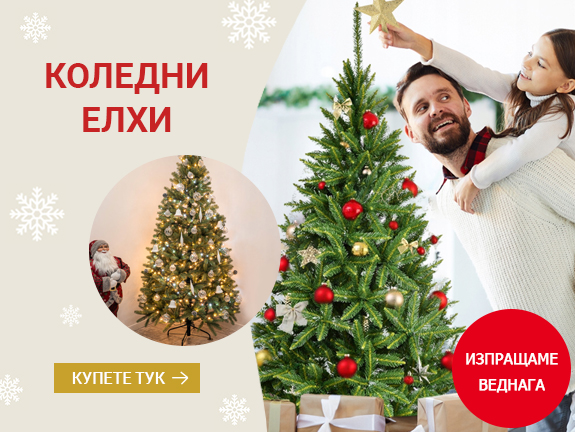 Коледни елхи