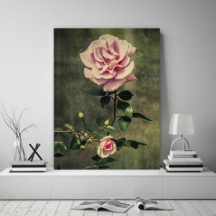 Kvalitný obraz na plátne s motívom ruže