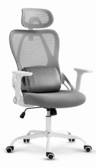CABRO C507 scaun ergonomic cu suport lombar și pentru cap reglabil, gri