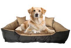 Vízálló, kényelmes kutyaágy párnákkal - barna-fekete
