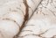 PALERMO Exkluzív bézs szőnyeg barna mintával 