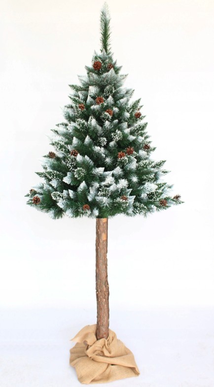 Jedinečný vánoční stromeček borovice na pni 180 cm