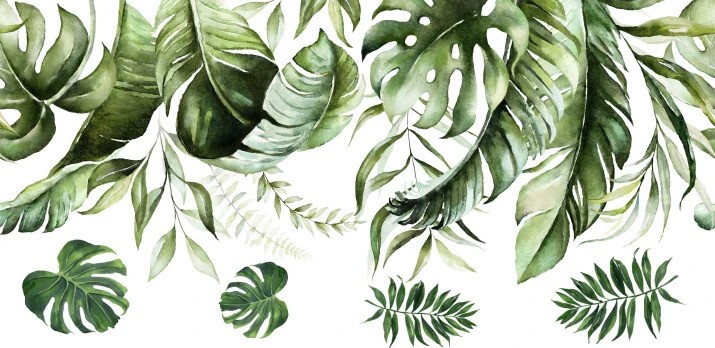 Nálepka na zeď do interiéru s motivem listů rostliny monstera
