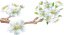 Autocolant de perete pentru interior ramură de flori de cireș de interior - Mărimea: 150 x 300 cm