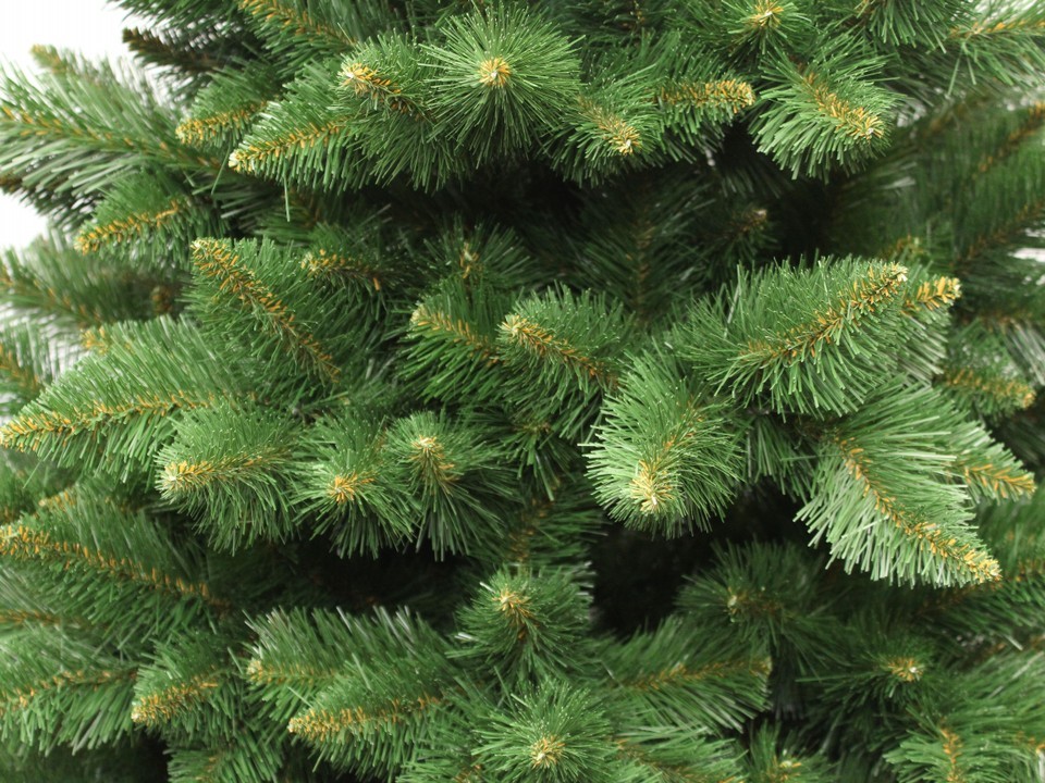 Pom de Crăciun, pin de Himalaya 220 cm
