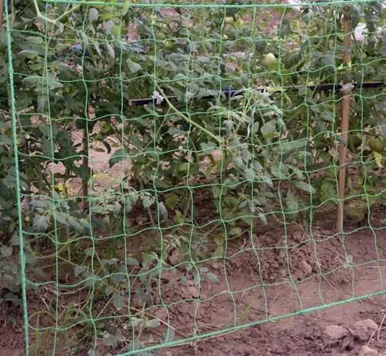 Záhradnásieťnapopínavérastliny2x20m