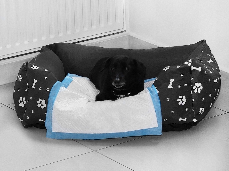 Tampon igienic super absorbant pentru animale de companie 45 x 60 cm - 100 buc.